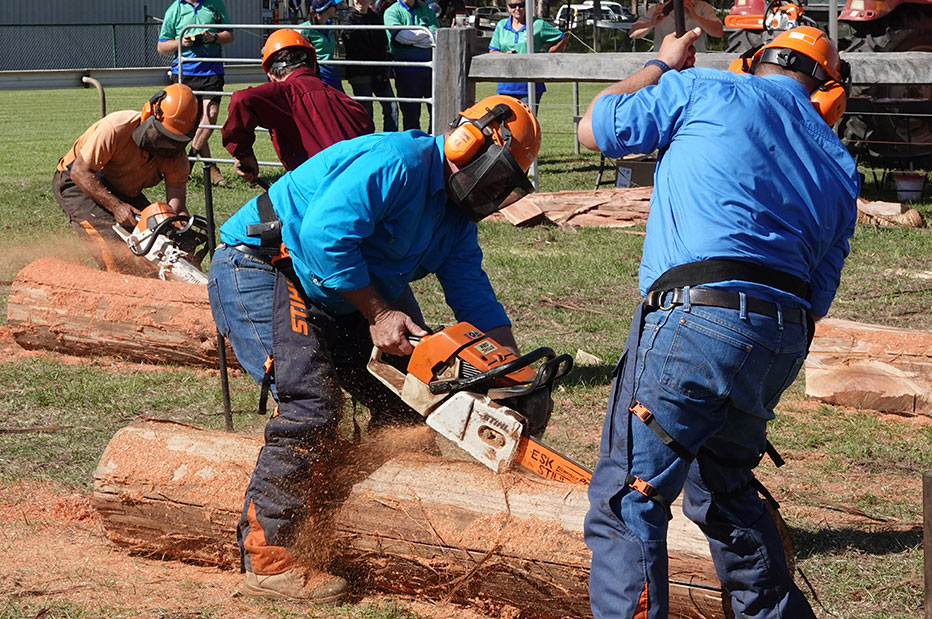 Chainsaw Racing Competition